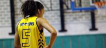 C.S.U. Alba Iulia - Univ. Goldis ICIM Arad 75:68 (marzec 8, 2015)