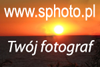 www.sphoto.pl