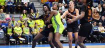 ZVVZ USK Praha - KGHM BC Polkowice 82:45 (grudzień 18, 2024)